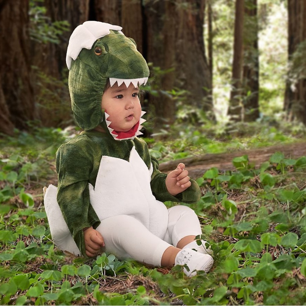 NWT Pottery Barn Kids Baby T Rex Egg Halloween Costume/ 12-24 mos